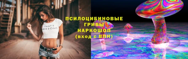сатива Гусиноозёрск