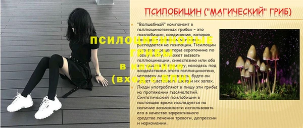 сатива Гусиноозёрск