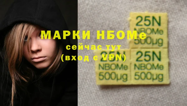 сатива Гусиноозёрск